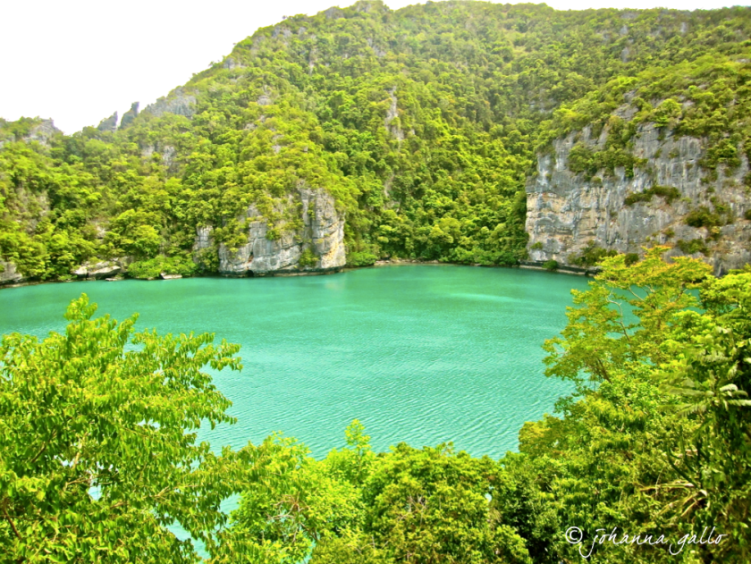 Screen Shot 2014-11-16 at 1.09.22 PM